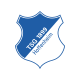 TSG 호펜하임 엠블럼